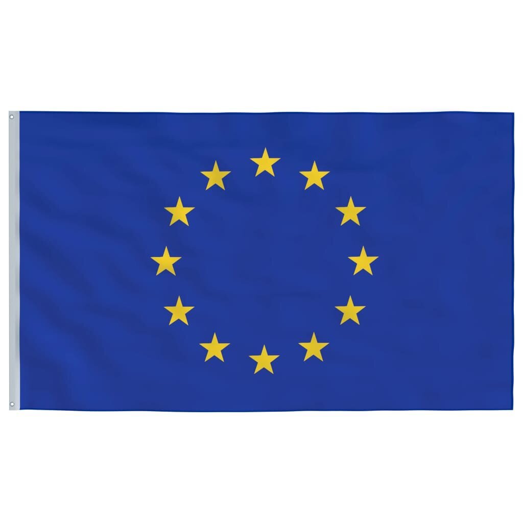 Europos sąjungos vėliava 90x150 cm kaina ir informacija | Vėliavos ir jų priedai | pigu.lt