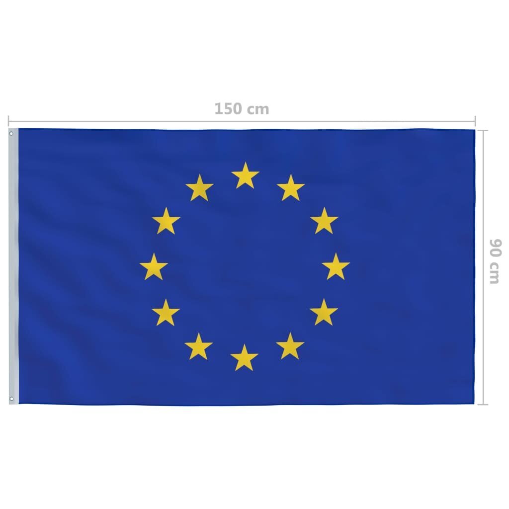 Europos sąjungos vėliava 90x150 cm kaina ir informacija | Vėliavos ir jų priedai | pigu.lt