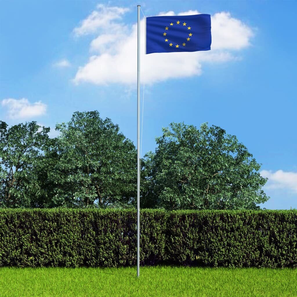 Europos sąjungos vėliava 90x150 cm цена и информация | Vėliavos ir jų priedai | pigu.lt