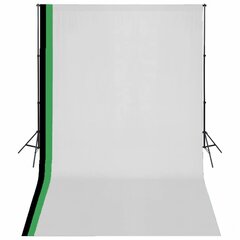 Fotostudijos komplektas, 3x5m kaina ir informacija | Fotografijos apšvietimo įranga | pigu.lt