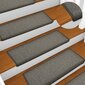 Laiptų kilimėliai 65x25 cm цена и информация | Kilimai | pigu.lt