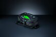 Razer RC81-03630116-0000 цена и информация | Krepšiai, kuprinės, dėklai kompiuteriams | pigu.lt