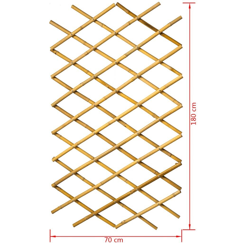 Sodo treliažas Nature, 70x180cm, 6040721, rudas kaina ir informacija | Tvoros ir jų priedai | pigu.lt