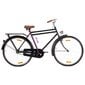 Olandiškas dviratis, moteriškas, 28" kaina ir informacija | Dviračiai | pigu.lt