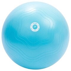 Гимнастический мяч Pure2improve, 65 см цена и информация | Гимнастические мячи | pigu.lt