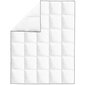 VidaXL antklodė, 150x200 cm kaina ir informacija | Antklodės | pigu.lt