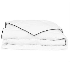 Pūkinė antklodė, žieminė, 200x200 cm цена и информация | Одеяла | pigu.lt