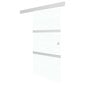 Stumdomos durys su stabdikliais vidaXL, 76x205 cm, stiklas ir aliuminis цена и информация | Vidaus durys | pigu.lt