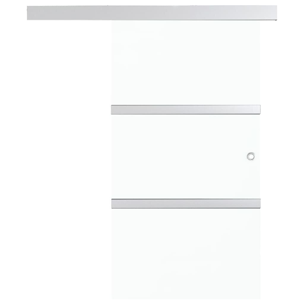 Stumdomos durys su stabdikliais vidaXL, 90x205 cm, stiklas ir aliuminis kaina ir informacija | Vidaus durys | pigu.lt
