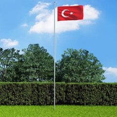 Turkijos vėliava, 90x150cm kaina ir informacija | Vėliavos ir jų priedai | pigu.lt