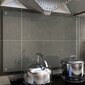 vidaXL virtuvės sienelė, 90x60 cm kaina ir informacija | Virtuvės baldų priedai | pigu.lt