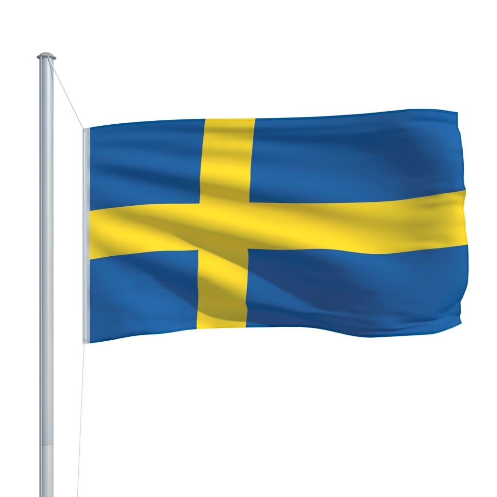 Švedijos vėliava, 90x150 cm цена и информация | Vėliavos ir jų priedai | pigu.lt
