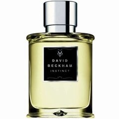 Tualetinis vanduo David Beckham Instinct EDT vyrams 75 ml kaina ir informacija | Kvepalai vyrams | pigu.lt