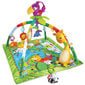 Lavinamasis kilimėlis Fisher Price Rainforest Melodies & Lights Deluxe цена и информация | Lavinimo kilimėliai | pigu.lt