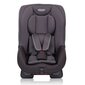 Automobilinė kėdutė Graco Extend™ 0-18 kg, Black Grey kaina ir informacija | Autokėdutės | pigu.lt