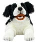 Rankų lėlė Border Collie The Puppet Company PC003007 цена и информация | Minkšti (pliušiniai) žaislai | pigu.lt