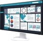 Eizo FlexScan EV2495 kaina ir informacija | Monitoriai | pigu.lt