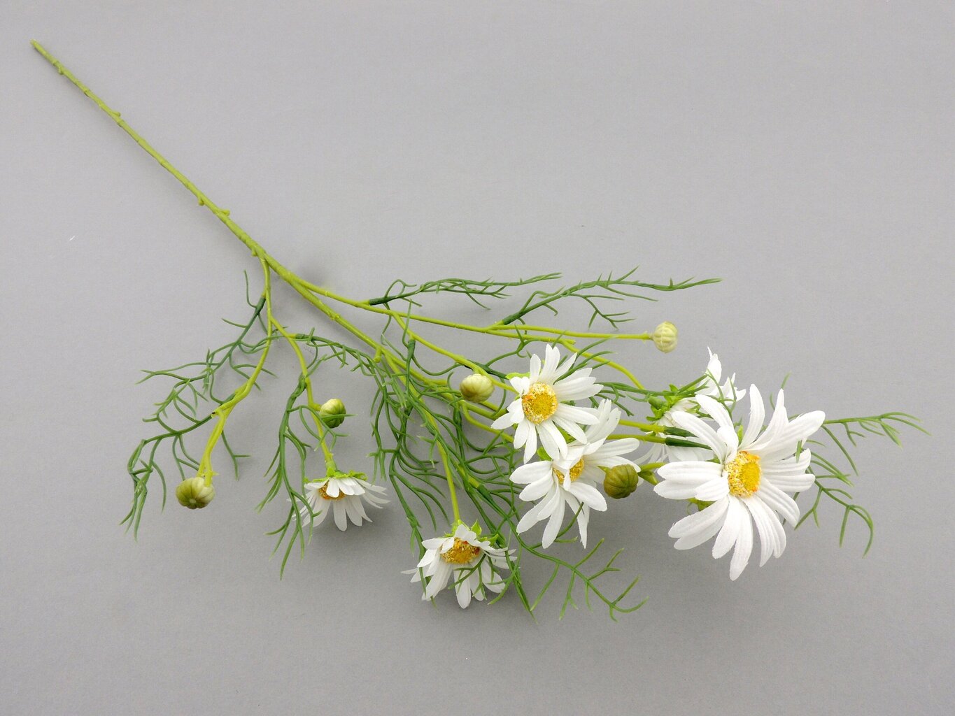 Dirbtinė gėlė - baltagalvė, 73 cm kaina ir informacija | Dirbtinės gėlės | pigu.lt