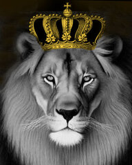 Набор для рисования картины - живопись по номерам ТМ TSVETNOY MG2146e Король лев 40x50 см цена и информация | Живопись по номерам | pigu.lt