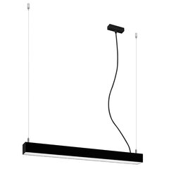 Pendant lamp PINNE 67 black THORO TH.030 цена и информация | Люстры | pigu.lt