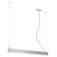 Pendant lamp PINNE 67 grey THORO TH.034 цена и информация | Люстры | pigu.lt