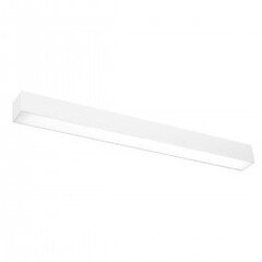 Wall lamp PINNE 67 white THORO TH.035 цена и информация | Настенные светильники | pigu.lt