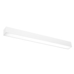 Wall lamp PINNE 90 grey THORO TH.055 цена и информация | Настенные светильники | pigu.lt