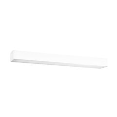 Plafond PINNE 67 white THORO TH.041 цена и информация | Потолочные светильники | pigu.lt