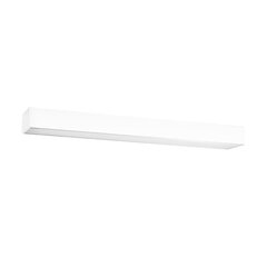 Plafond PINNE 67 white THORO TH.044 цена и информация | Потолочные светильники | pigu.lt