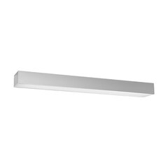 Plafond PINNE 67 grey THORO TH.046 цена и информация | Потолочные светильники | pigu.lt