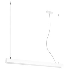 Pendant lamp PINNE 117 white THORO TH.065 цена и информация | Подвесной светильник | pigu.lt