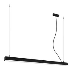 Pendant lamp PINNE 117 black THORO TH.069 цена и информация | Люстры | pigu.lt