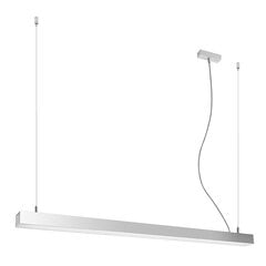 Pendant lamp PINNE 117 white THORO TH.065 цена и информация | Подвесной светильник | pigu.lt