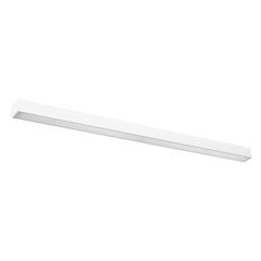 Wall lamp PINNE 117 white THORO TH.074 цена и информация | Настенные светильники | pigu.lt