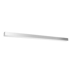 Plafond PINNE 117 grey THORO TH.079 цена и информация | Потолочные светильники | pigu.lt