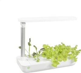 Platinet vegebox smart garden 9 kaina ir informacija | Daigyklos, lempos augalams | pigu.lt