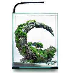 Akvariumas Aquael Shrimp Set Day&Night, 20 L, juodas, su įranga kaina ir informacija | Akvariumai ir jų įranga | pigu.lt