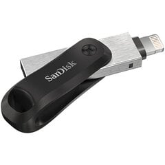 SanDisk SDIX70N-256G-GN6NE цена и информация | USB накопители | pigu.lt