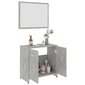 Vonios kambario baldų komplektas, pilkos spalvos kaina ir informacija | Vonios komplektai | pigu.lt
