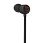 Beats Flex – All-Day Wireless Earphones – Beats Black - MYMC2ZM/A цена и информация | Ausinės | pigu.lt