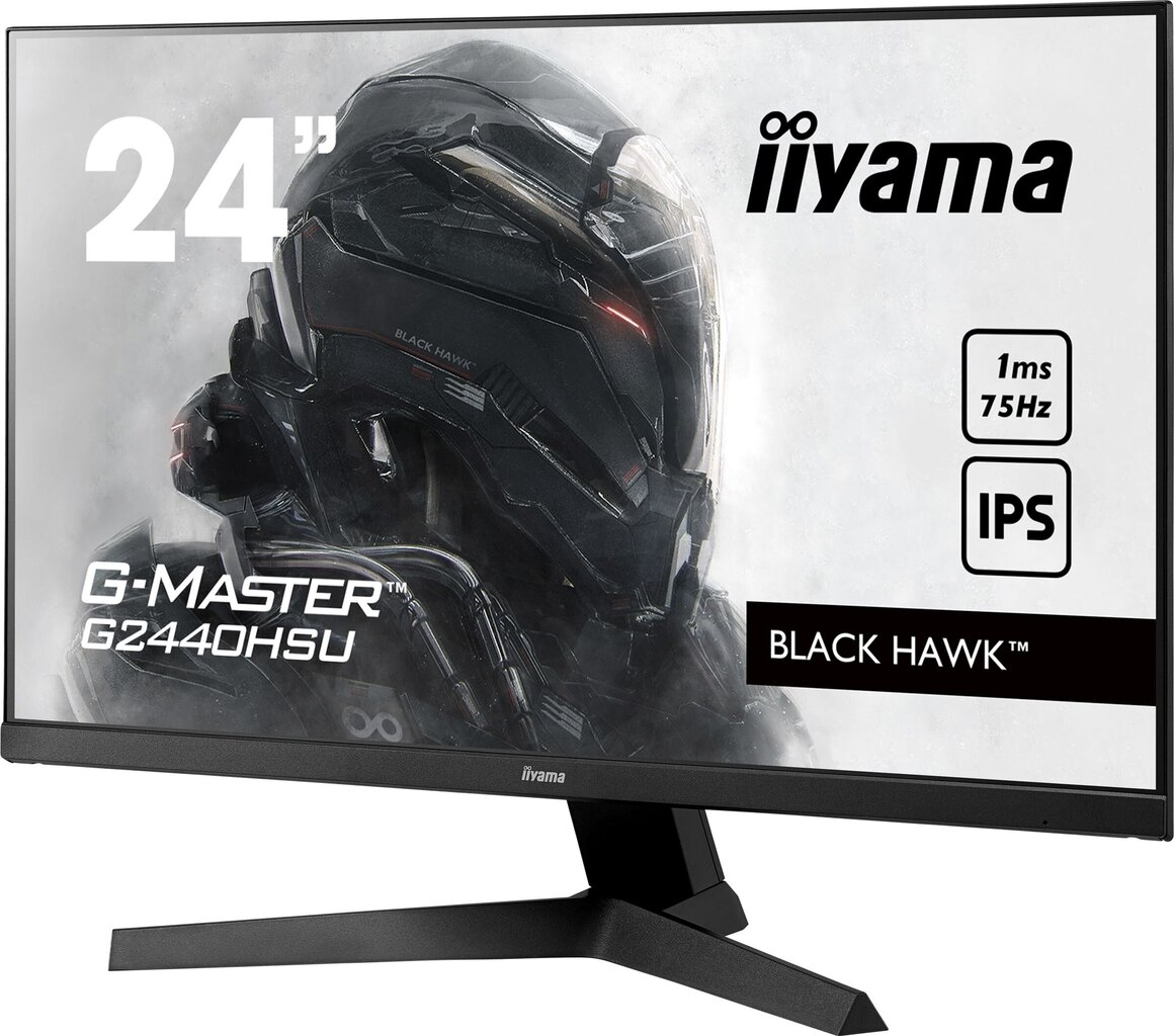 Iiyama G2440HSU-B1 цена и информация | Monitoriai | pigu.lt