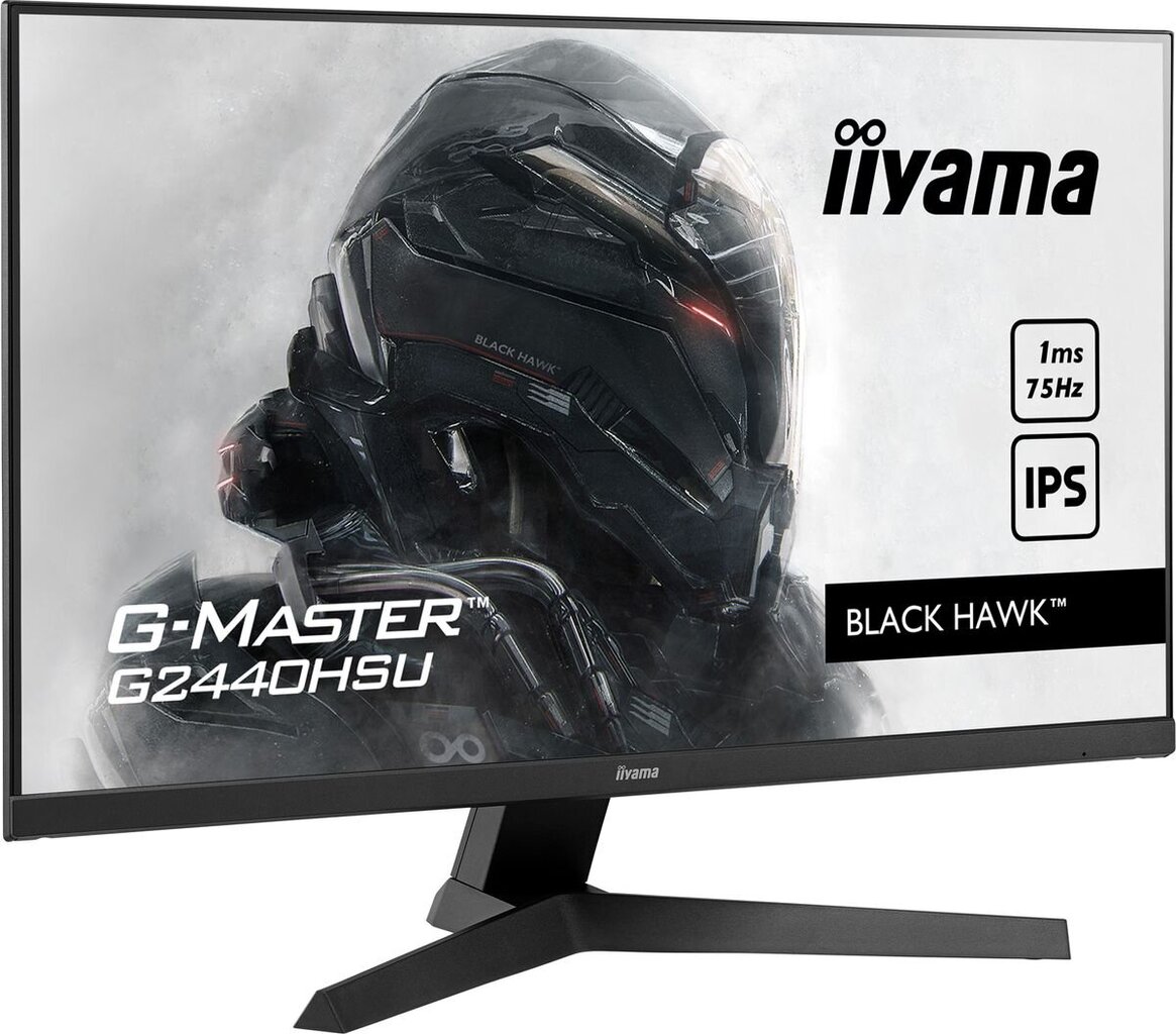 Iiyama G2440HSU-B1 цена и информация | Monitoriai | pigu.lt