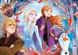 Dėlionių rinkinys Clementoni Ledo šalis (Frozen), 2x20+2x60 d. kaina ir informacija | Dėlionės (puzzle) | pigu.lt