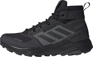 Adidas Terrex Trailmaker Mid Gtx M FY2229 shoes kaina ir informacija | Kedai vyrams | pigu.lt