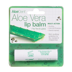 Lūpų pieštukas Alavijų Aloe Vera AloeDent, 4 g. kaina ir informacija | Lūpų dažai, blizgiai, balzamai, vazelinai | pigu.lt