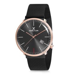 Мужские часы Daniel Klein DK12243-4 цена и информация | Мужские часы | pigu.lt