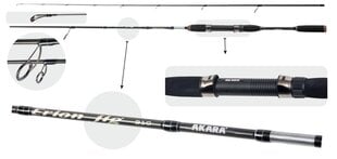 Spiningas Akara ERION Jig (3-12) TX-30 2X 198 cm kaina ir informacija | Meškerės, meškerių laikikliai, stovai | pigu.lt