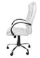 Pasukama biuro kėdė Tilt Office 8983 , balta цена и информация | Biuro kėdės | pigu.lt