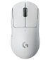 Logitech G Pro X SuperLight White (baltas) цена и информация | Pelės | pigu.lt