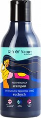 Šampūnas sausiems plaukams Gift Of Nature, 300ml kaina ir informacija | Šampūnai | pigu.lt